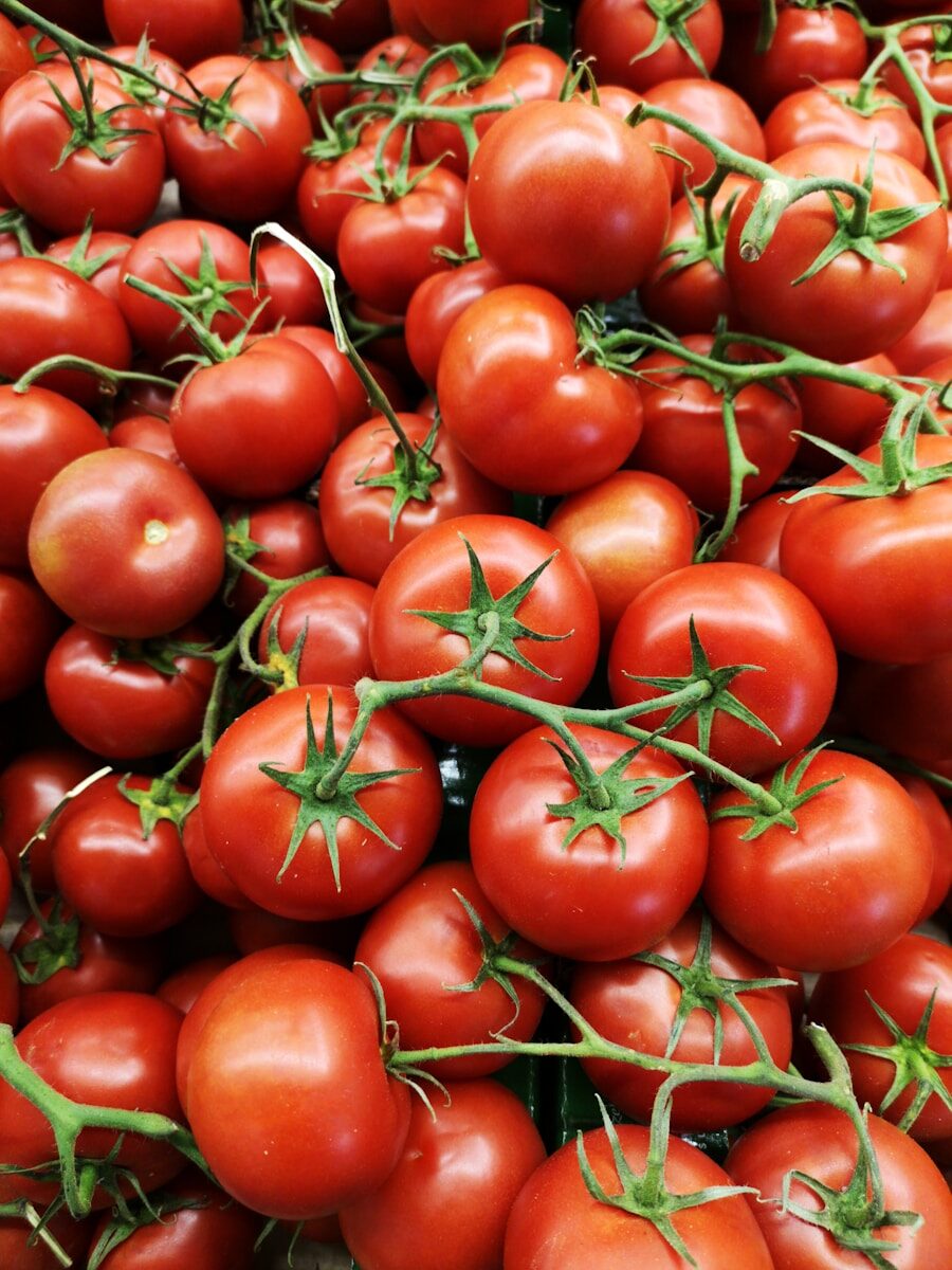 Tomaten red tomatoes on brown wooden table