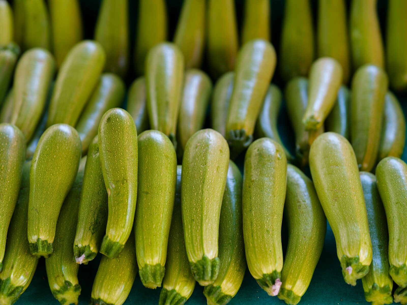 Zucchini a bunch of green cucumbers sitting next to each other